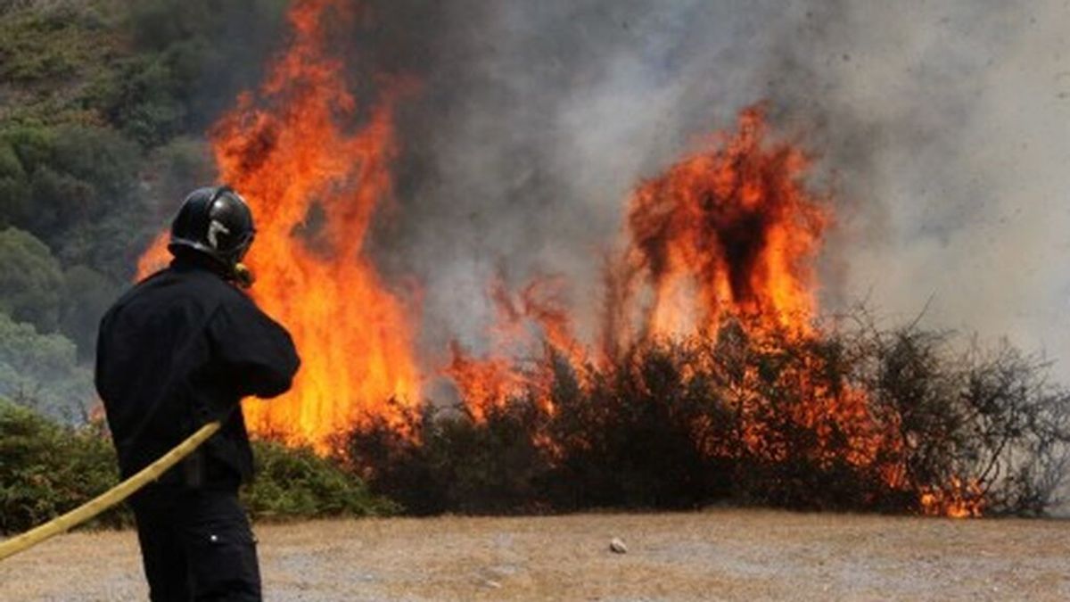 Detenido por intentar provocar un incendio con seis focos en el Alt Penedès (Barcelona) Detenido por intentar provocar un incendio con seis focos en el Alt Penedès (Barcelona)