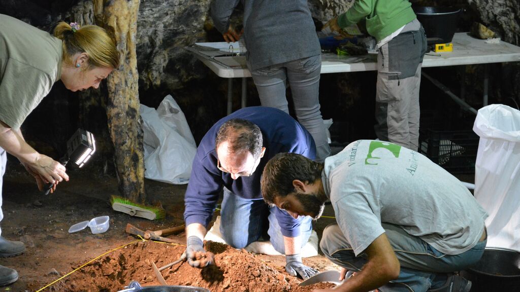 Los investigadores trabajando sobre el terreno