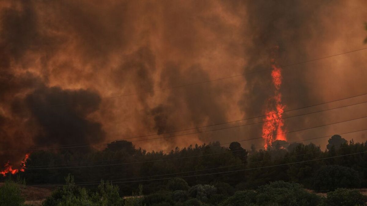 Los incendios de Grecia y Turquía, un aviso para España Los incendios de Grecia y Turquía, un aviso para España