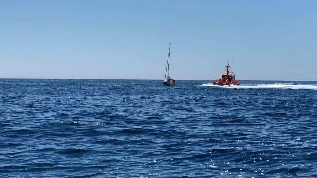 Los esfuerzos de salvamento para alejar a las orcas