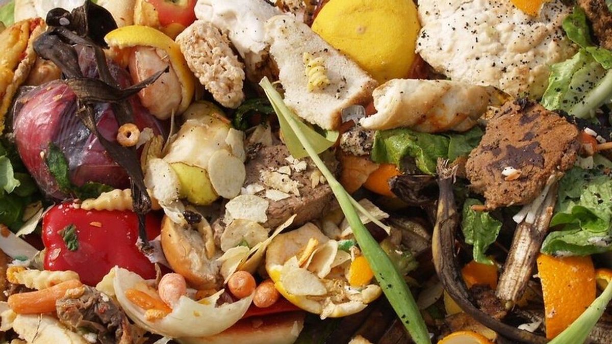 En verano, tiramos hasta un 36% más de comida a la basura