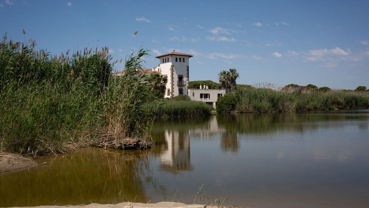 La Ricarda, el humedal que obstaculiza la ampliación del aeropuerto de El Prat La Ricarda, el humedal que obstaculiza la ampliación del aeropuerto de El Prat