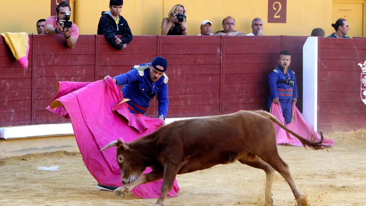 Zahínos, en Badajoz, mantiene su "Bombero Torero" de este viernes pese a que Belarra pide que se cancele Zahínos, en Badajoz, mantiene su "Bombero Torero" de este viernes pese a que Belarra pide que se cancele
