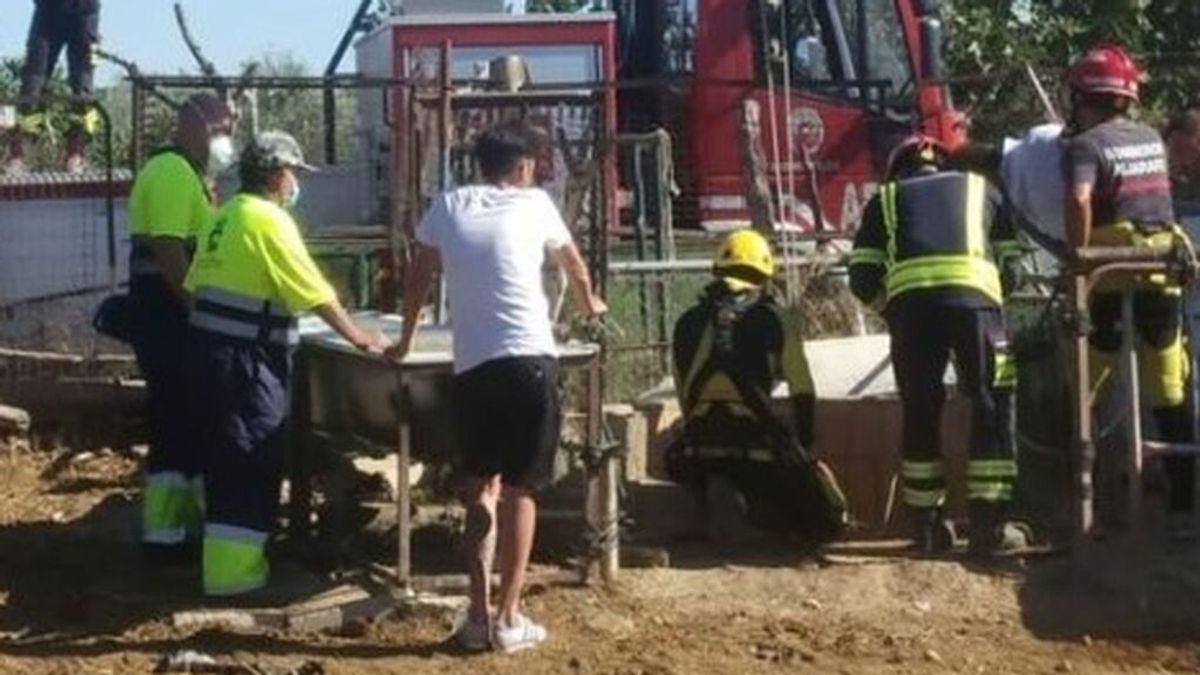 Los bomberos del Aljarafe, en Sevilla, rescatan a una vaca atrapada en un pozo de Bormujos Los bomberos del Aljarafe, en Sevilla, rescatan a una vaca atrapada en un pozo de Bormujos