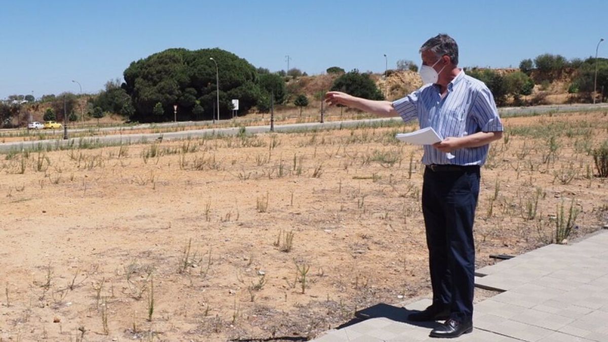 Parcelas a 30 000 € para los jóvenes de Palos de la Frontera (Huelva) Parcelas a 30 000 € para los jóvenes de Palos de la Frontera (Huelva)