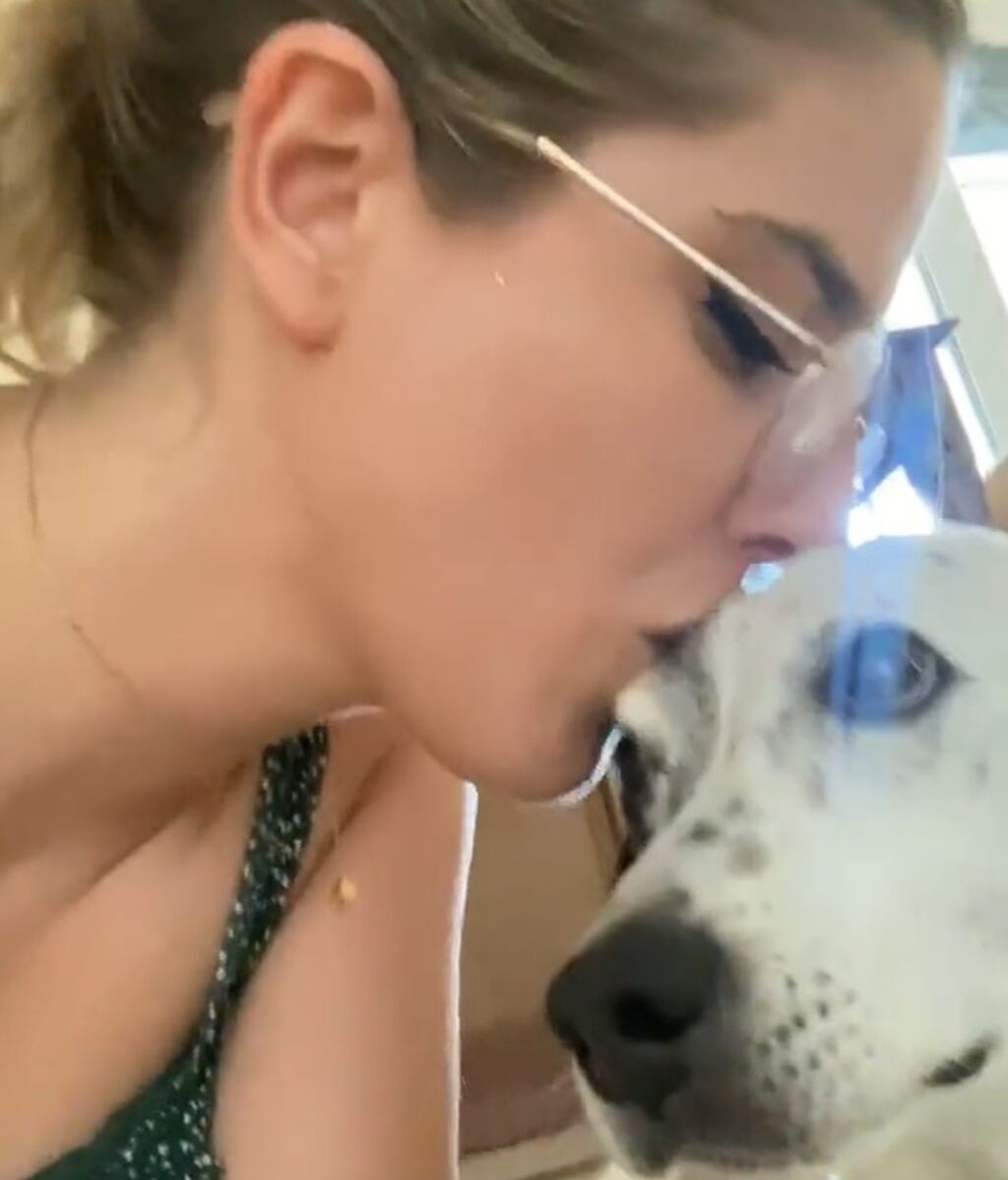 perrito