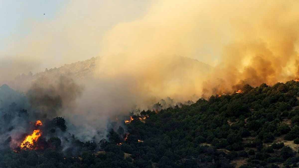 El incendio en Ávila "tiende a estabilizarse" tras una noche "durísima" El incendio en Ávila "tiende a estabilizarse" tras una noche "durísima"