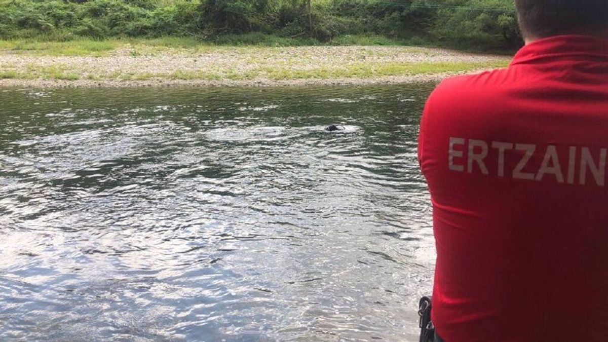Muere un inmigrante ahogado en el río Bidasoa cuando intentaba cruzar a nado hasta Francia Muere un inmigrante ahogado en el río Bidasoa cuando intentaba cruzar a nado hasta Francia