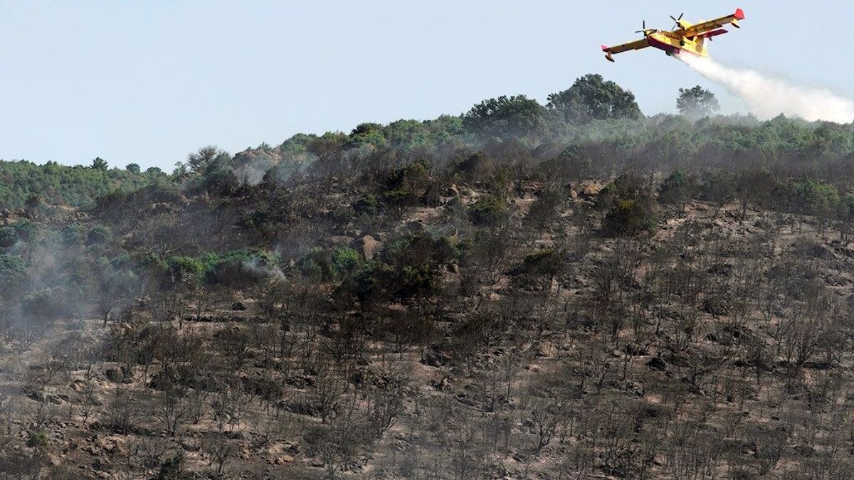 La UME se retira de las labores de extinción del incendio de El Tiemblo, en Ávila La UME se retira de las labores de extinción del incendio de El Tiemblo, en Ávila