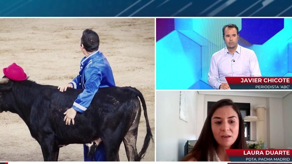 Pacma se suma a Podemos para denunciar el espectáculo de ‘Bombero torero’: “Hay maltrato animal”