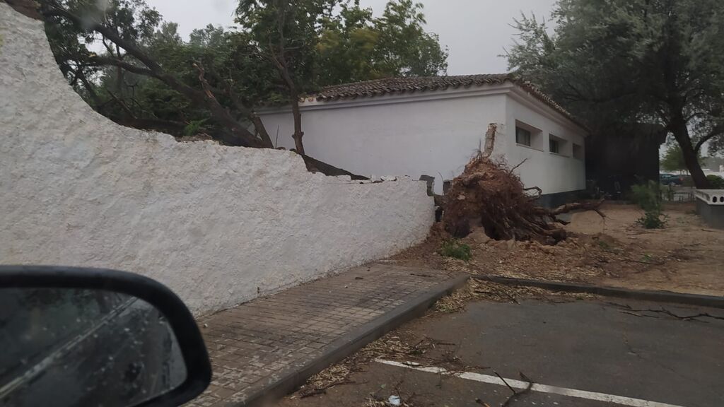 Destrozos en Toledo por las fuertes rachas de viento en plena ola de calor