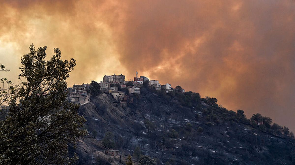 Al menos 32 muertos en los incendios forestales en Argelia, que el Gobierno sospecha son provocados Al menos 32 muertos en los incendios forestales en Argelia, que el Gobierno sospecha son provocados