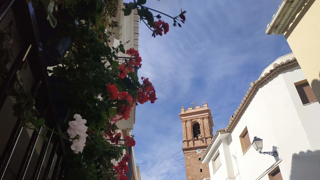 plaza d ela iglesia flores