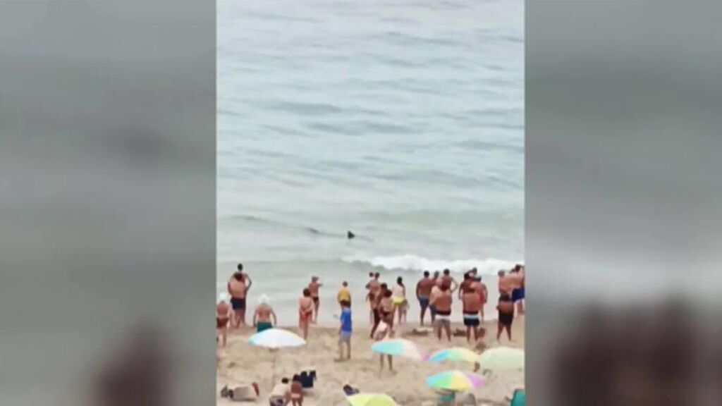 2021_08_12-1556-REC_Cuatro_REC.ts.0x0.146590541216100