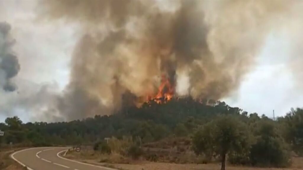 Estabilizado el incendio en la Pobla de Massaluca, en Taragona tras quemar 75 hectáreas y obligar a evacuar un cámping