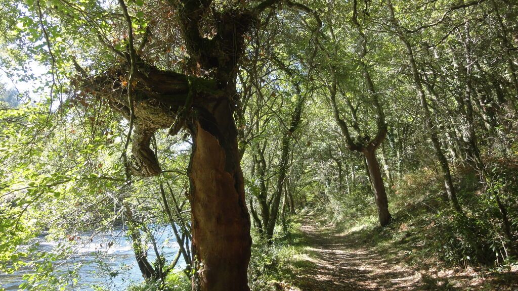 Ruta de los Tres Ríos, en A Coruña