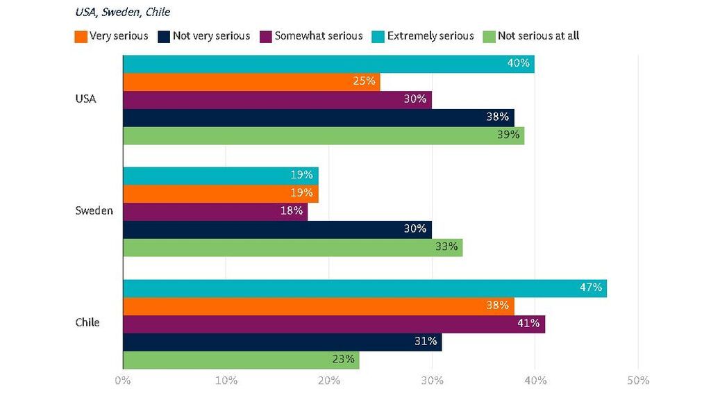 grafico 5
