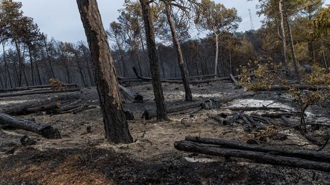 Casi toda España, en riesgo de incendio por las altas temperaturas - NIUS