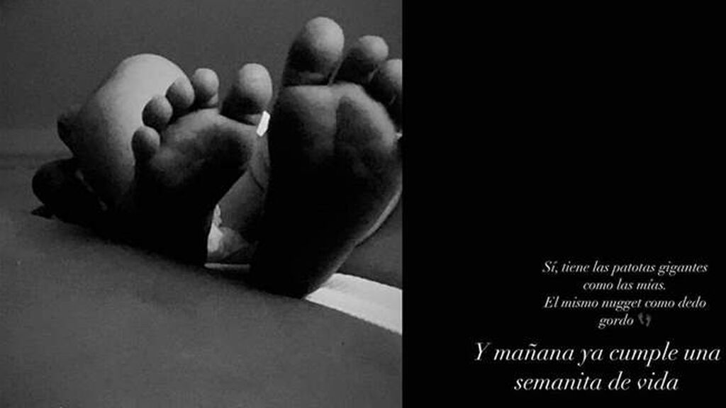 ivana-icardi-giorgia_33fd60bc_660x616