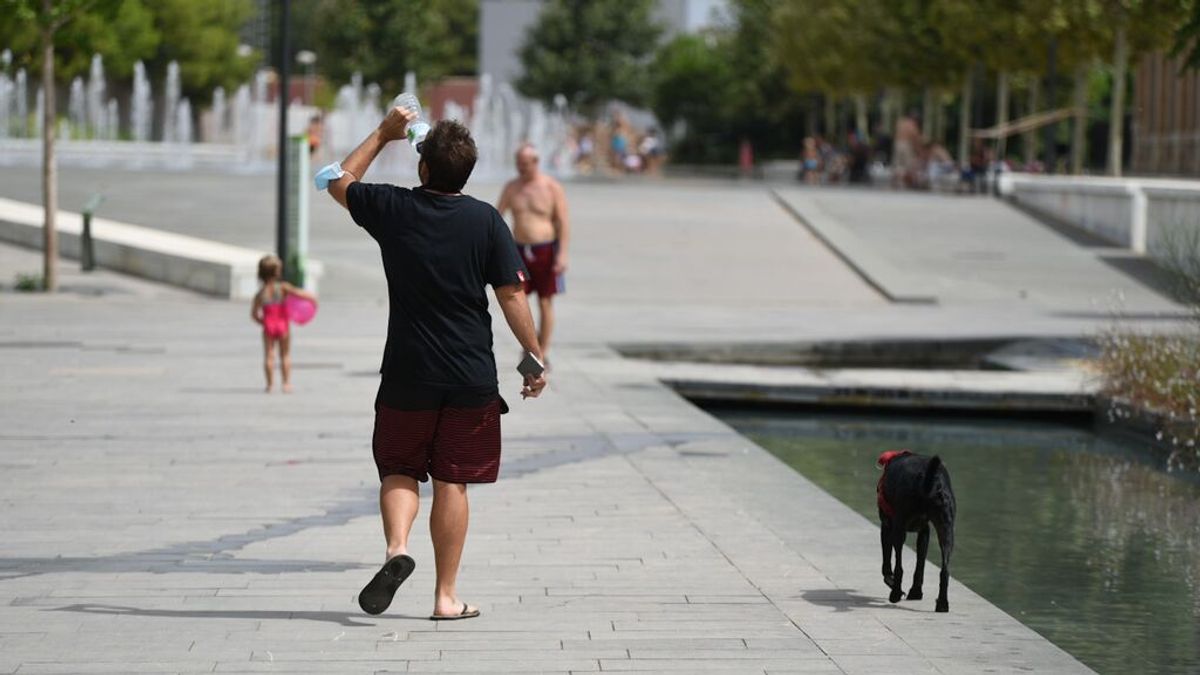 EuropaPress_3879345_hombre_pasea_perro_parc_central_12_agosto_2021_valencia_comunidad EuropaPress_3879345_hombre_pasea_perro_parc_central_12_agosto_2021_valencia_comunidad