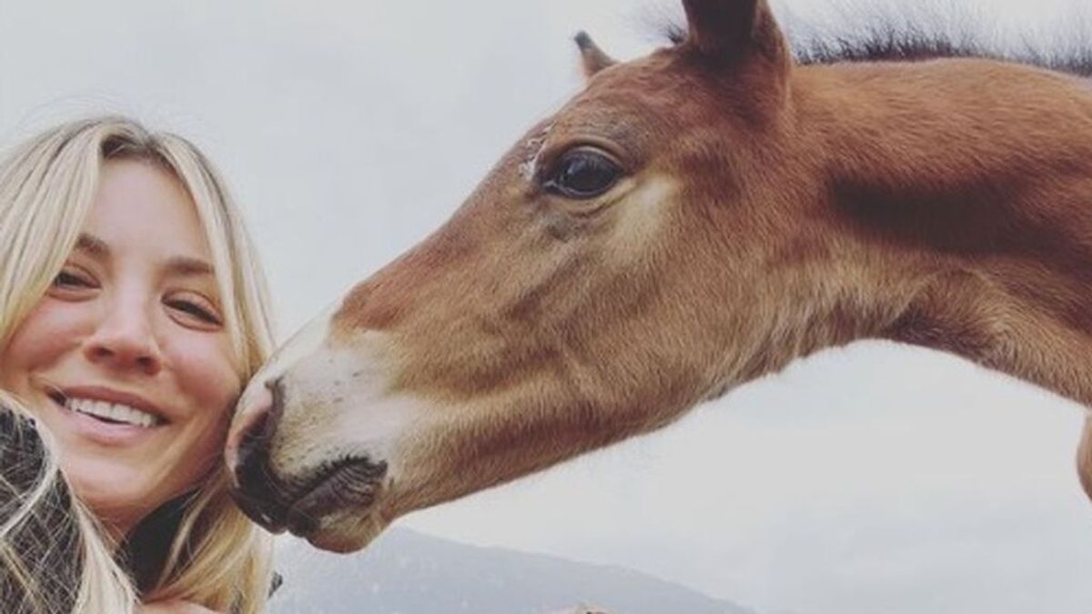 La actriz Kaley Cuoco se ofrece a comprar a 'Saint Boy', el caballo maltratado en los JJOO de Tokio