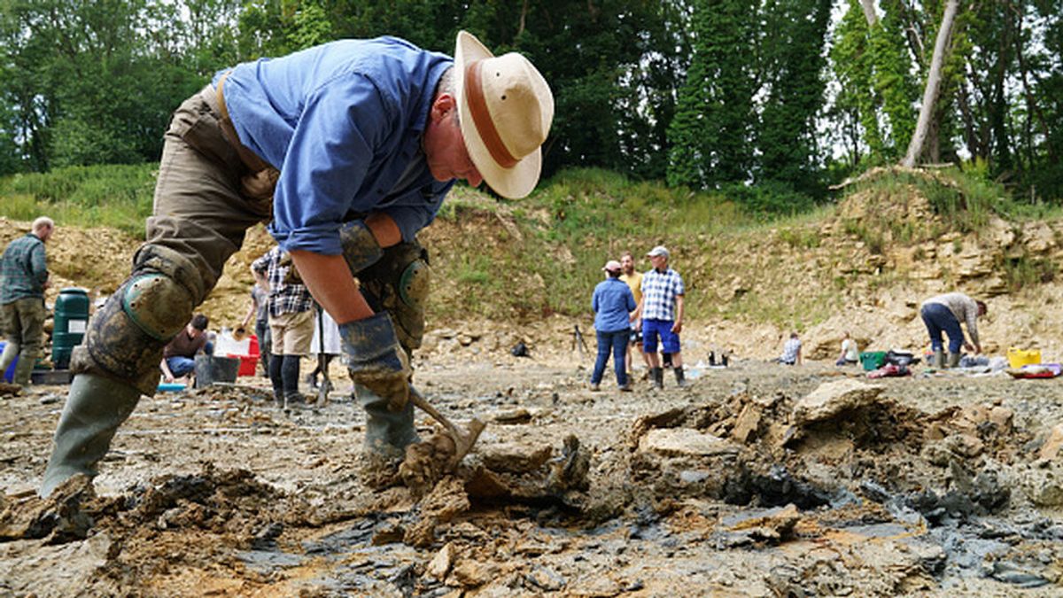 Emerge la 'Pompeya jurásica' de los animales marinos en Inglaterra Emerge la 'Pompeya jurásica' de los animales marinos en Inglaterra