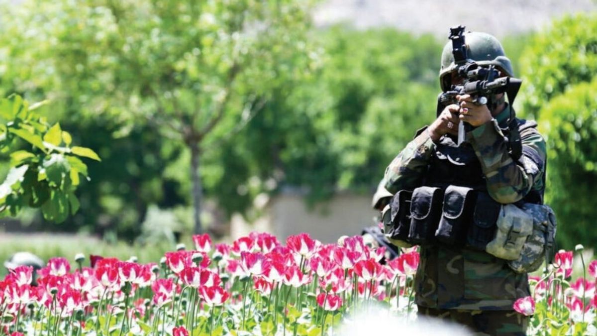 Afganistán: lo que significa el conflicto talibán para el comercio mundial de heroína Afganistán: lo que significa el conflicto talibán para el comercio mundial de heroína