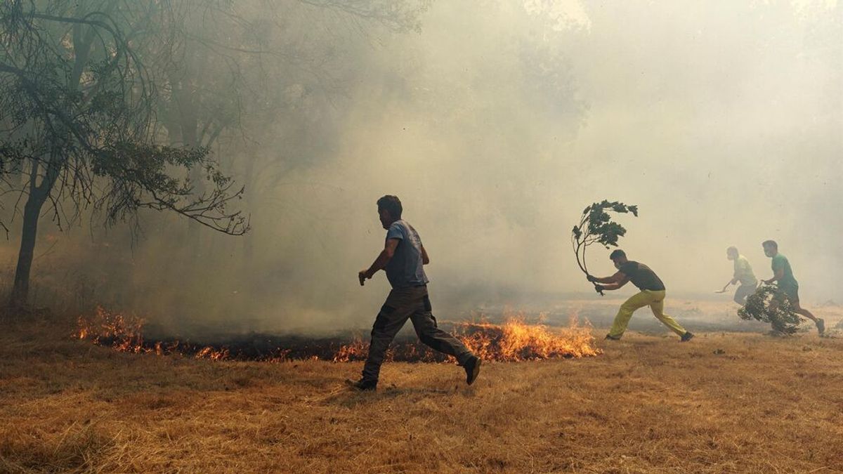 Los incendios avivados por la ola de calor queman casi 13.000 hectáreas en menos de 72 horas Los incendios avivados por la ola de calor queman casi 13.000 hectáreas en menos de 72 horas