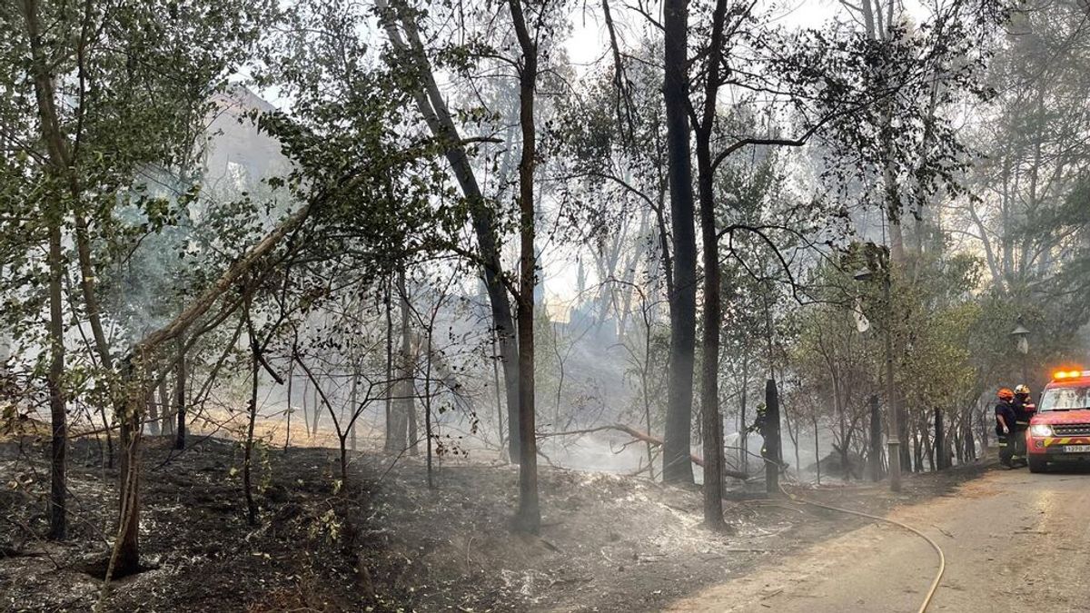 Estabilizado y perimetrado el incendio de Batres, en Madrid, tras el desalojo de varios vecinos Estabilizado y perimetrado el incendio de Batres, en Madrid, tras el desalojo de varios vecinos