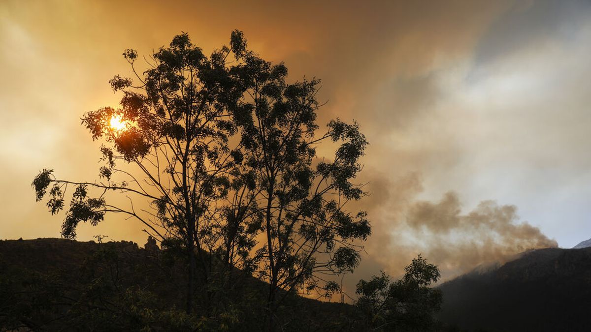 El incendio de Navalacruz sigue calcinando el terreno: más de 20.000 hectáreas ya han sido arrasadas por el fuego El incendio de Navalacruz sigue calcinando el terreno: más de 20.000 hectáreas ya han sido arrasadas por el fuego
