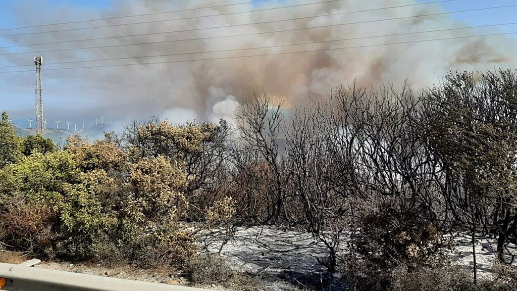 Llamas junto al N340 en el incendio de Tarifa