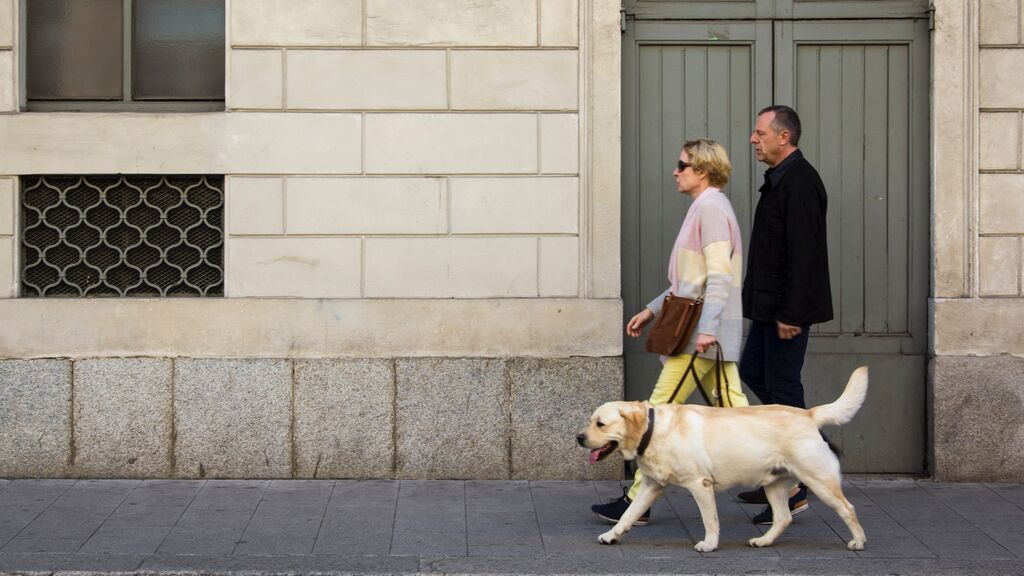 pareja perro