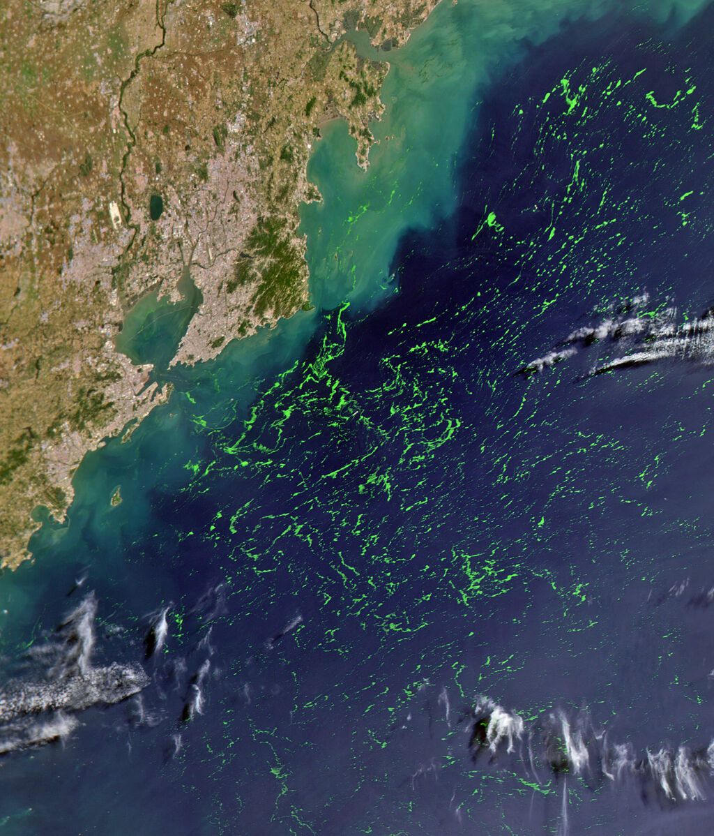 qingdaochina_hwk_2021170_lrg