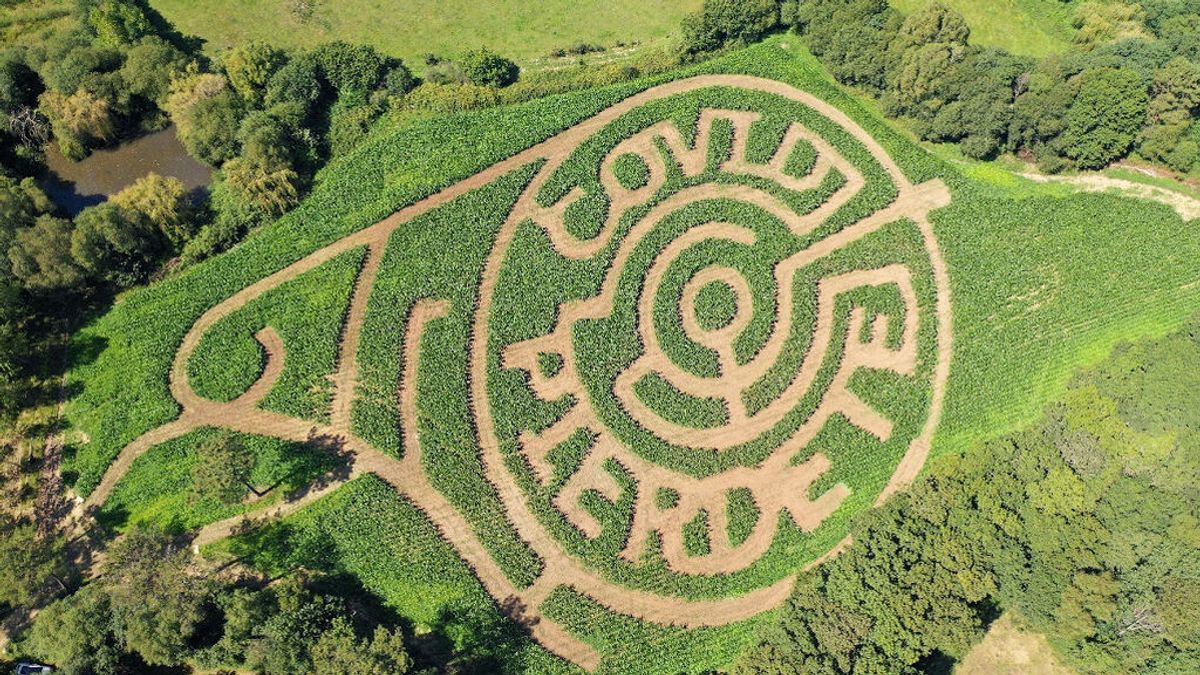 “COVID piérdete”: Una granja ecológica gallega construye un laberinto con mensaje en un maizal