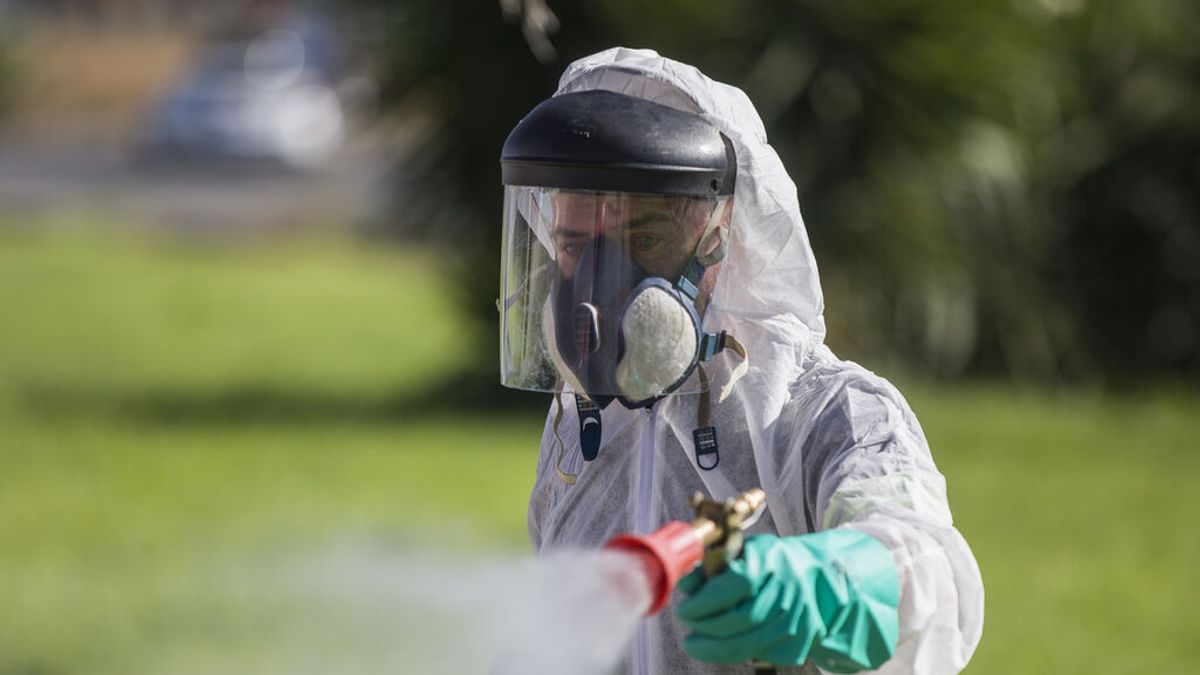 Dos personas más infectadas por el Virus del Nilo en Sevilla, una de ellas ingresada Dos personas más infectadas por el Virus del Nilo en Sevilla, una de ellas ingresada