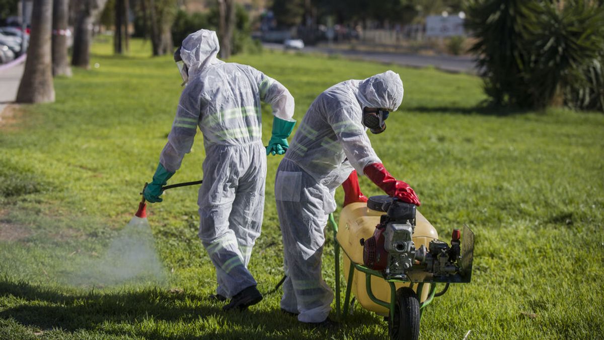 Ingresado en Sevilla el primer infectado del año con virus del Nilo Occidental Ingresado en Sevilla el primer infectado del año con virus del Nilo Occidental