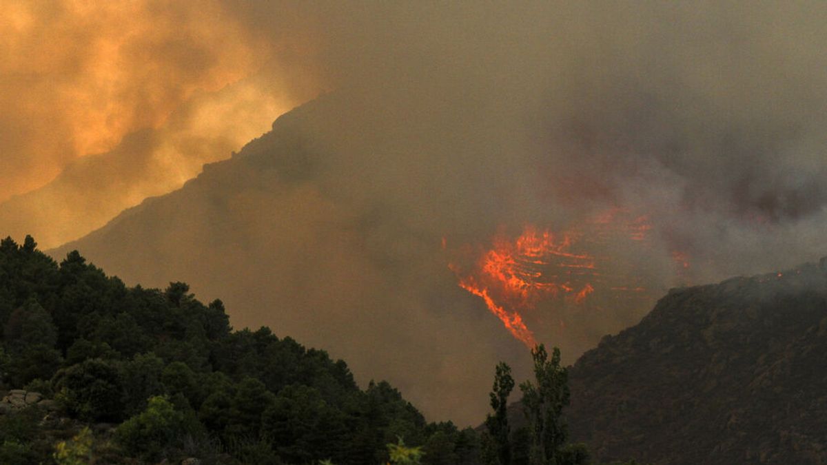 El incendio de Navalacruz es ya el cuarto más devastador en la historia de España El incendio de Navalacruz es ya el cuarto más devastador en la historia de España