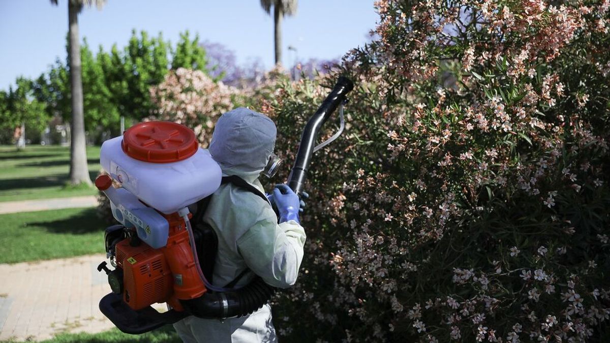 Muere la primera mujer contagiada de virus del Nilo este año en España Muere la primera mujer contagiada de virus del Nilo este año en España
