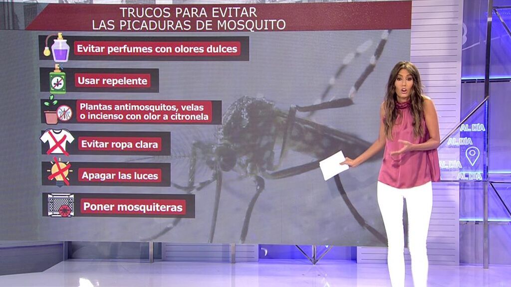 2021_08_20-1740-REC_Cuatro_REC.ts.0x0.146653308731700