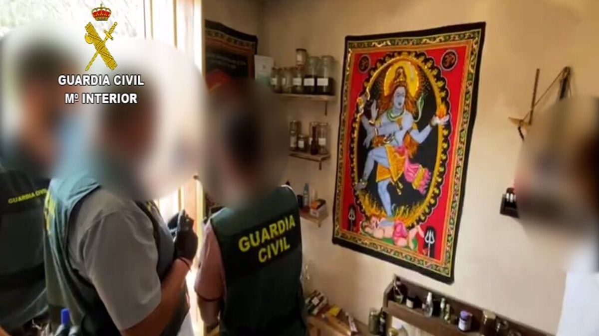 Detienen a un matrimonio que hacía rituales con ayahuasca y escamas de sapo bufo en Alicante