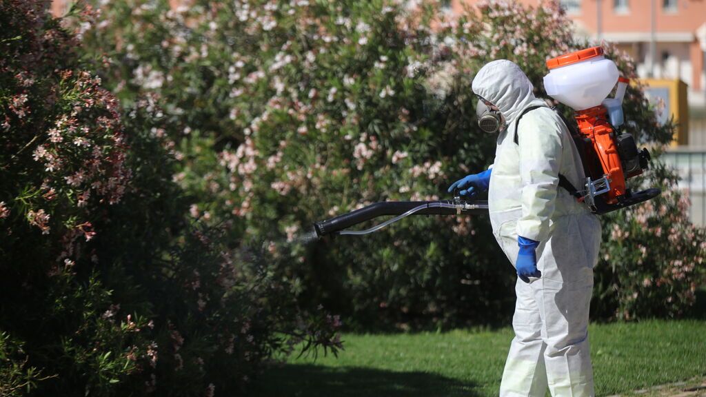 Fallece una mujer de 73 años contagiada de virus del Nilo, la primera víctima este año en España