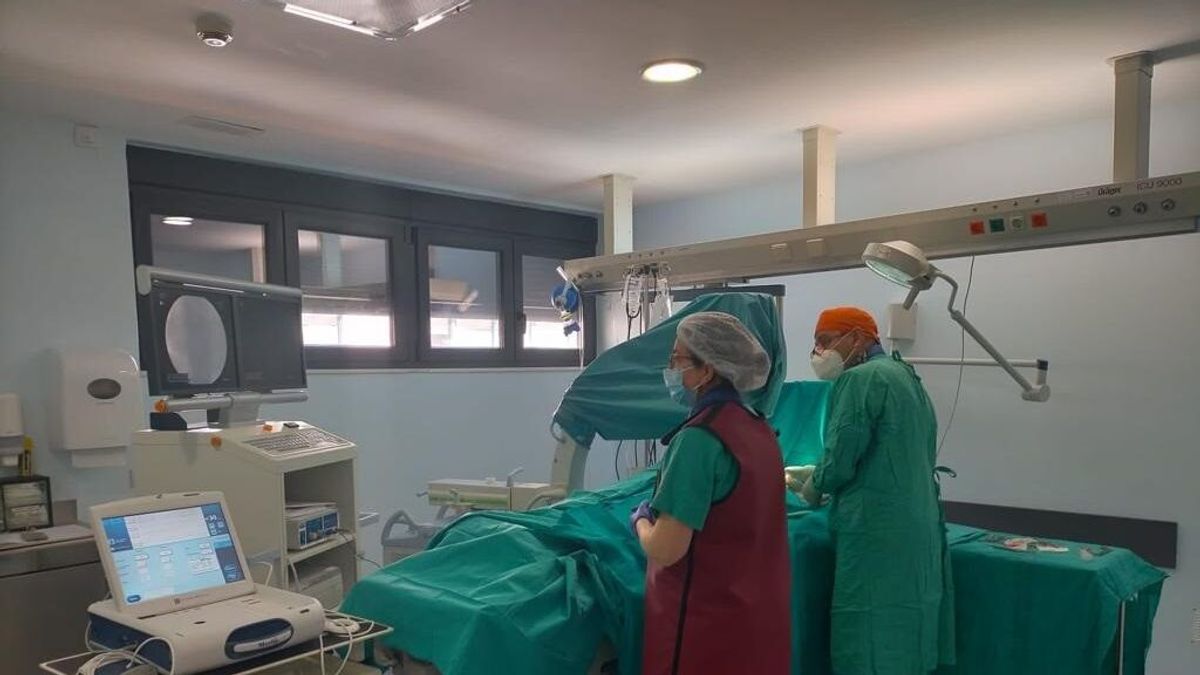 Una joven de 19 años fallece por coronavirus en Son Espases Una joven de 19 años fallece por coronavirus en Son Espases