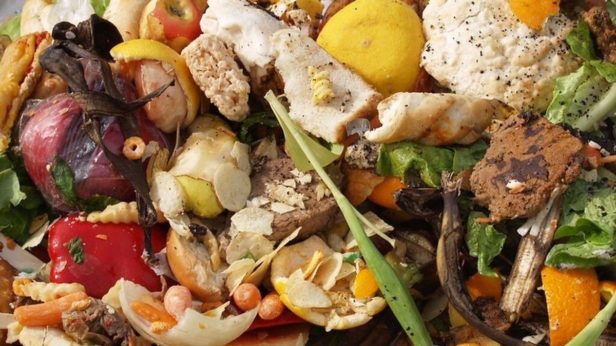Cómo rediseñar el sistema alimentario para evitar el desperdicio Cómo rediseñar el sistema alimentario para evitar el desperdicio