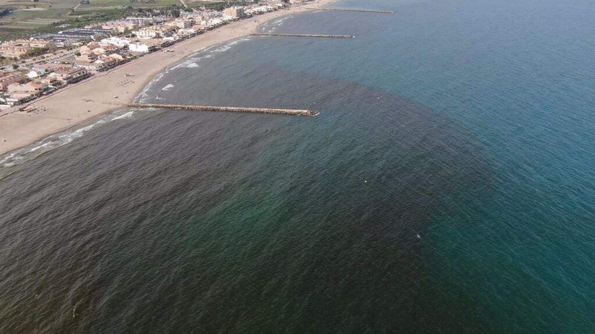 Las playas de El Puig y Pobla de Farnals vuelven a abrirse a los bañistas después de la proliferación de un alga en sus aguas Las playas de El Puig y Pobla de Farnals vuelven a abrirse a los bañistas después de la proliferación de un alga en sus aguas