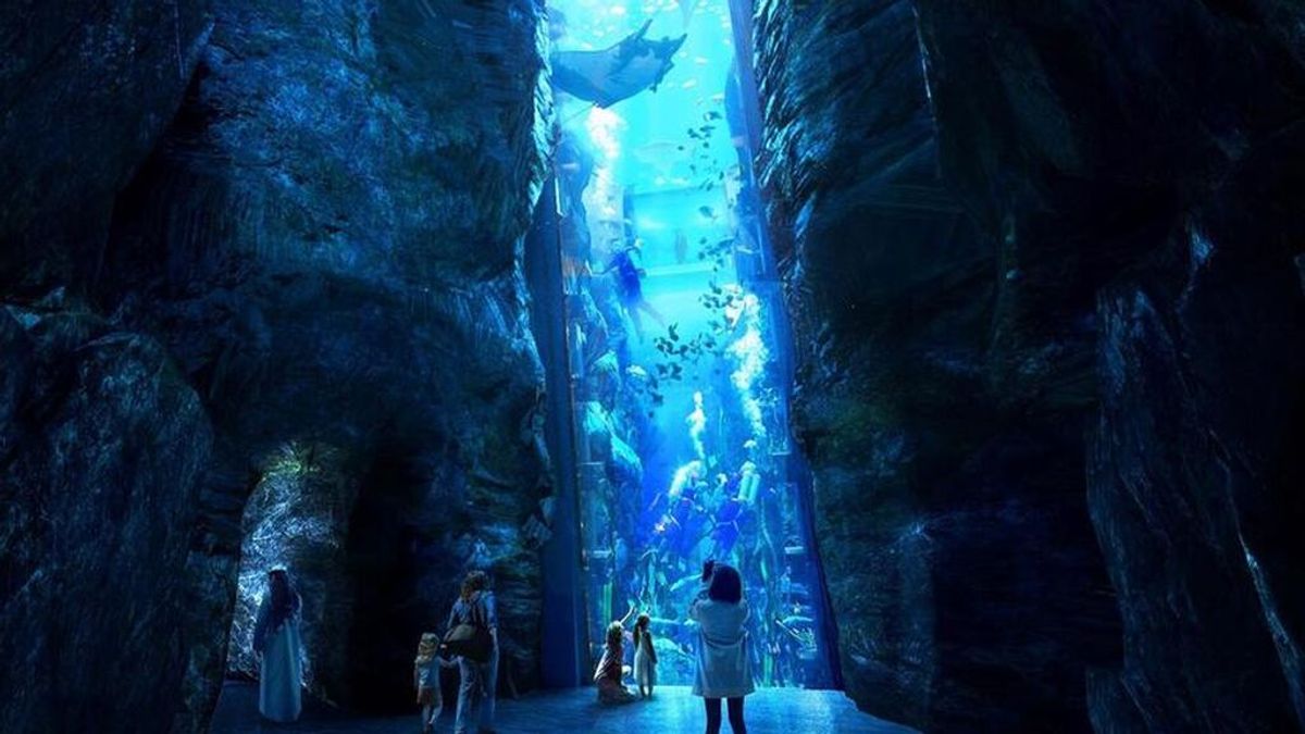 SeaWorld Abu Dhabi: así será el acuario más grande del mundo, con más de 68.000 animales marinos