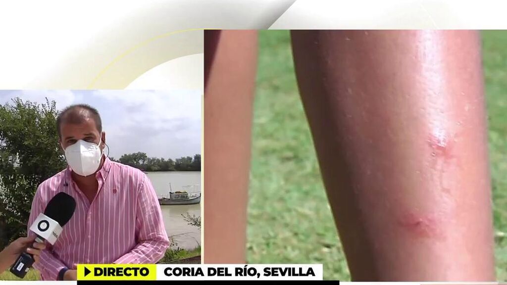 Hablamos con un familiar de un fallecido por virus del Nilo