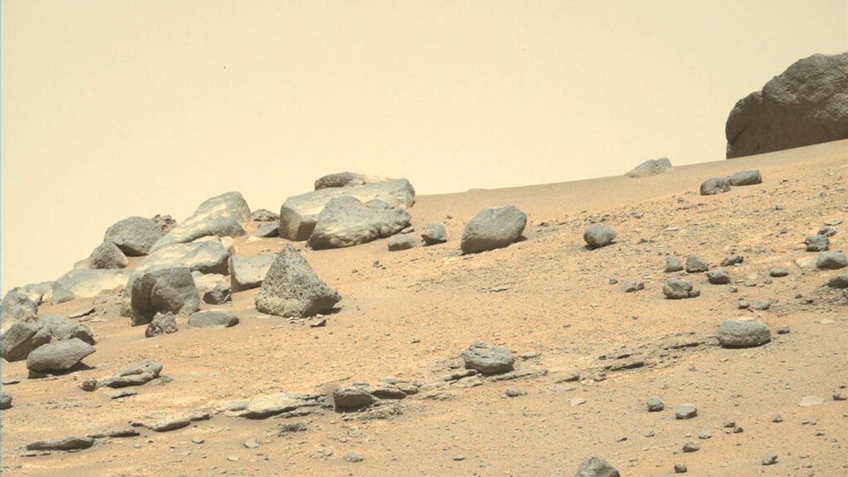 Noticias de Marte: el rover Perseverance envía nuevas imágenes desde 'Citadelle'