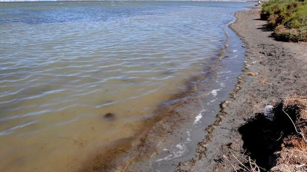 Mar Menor: historia de un colapso ambiental que pudo haberse evitado Mar Menor: historia de un colapso ambiental que pudo haberse evitado