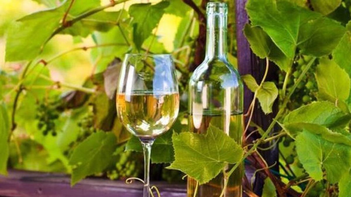 El diario británico 'The independent' nombra un vino blanco del Penedès como el mejor de España El diario británico 'The independent' nombra un vino blanco del Penedès como el mejor de España