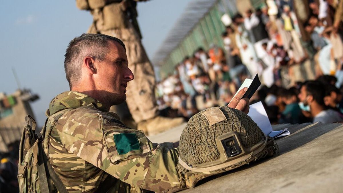 La batalla de un ex marine por evacuar 140 perros y 60 gatos de Kabul La batalla de un ex marine por evacuar 140 perros y 60 gatos de Kabul